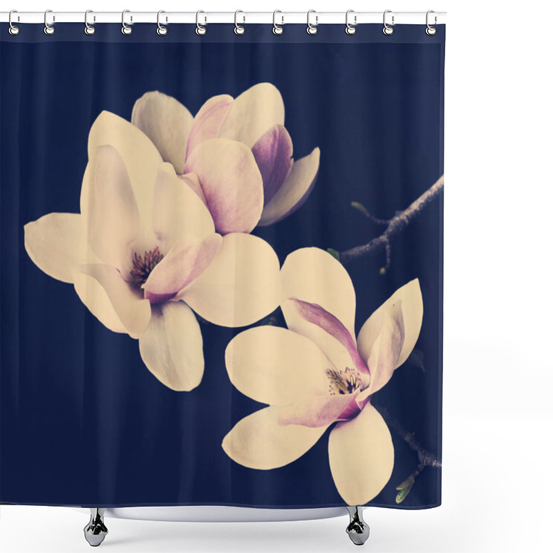 Personality  Magnolia Branch Flowers Shower Curtains