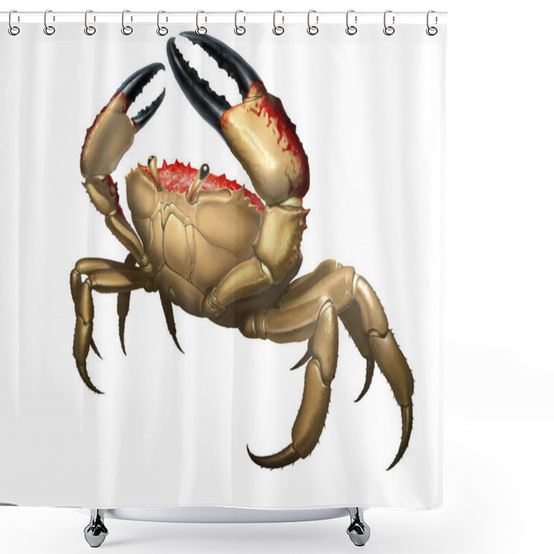 Personality  Giant Crab Monster. Rab Big Red Attacks Aggressively By Lifting Its Claws Upward. King Crab Running Along The Beach Realism Illustration Isolate.  Shower Curtains