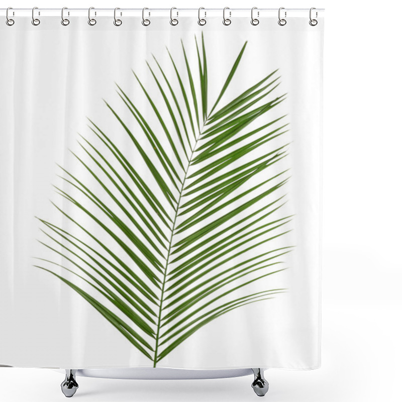 Personality  Beautiful Palm Leaf Shower Curtains