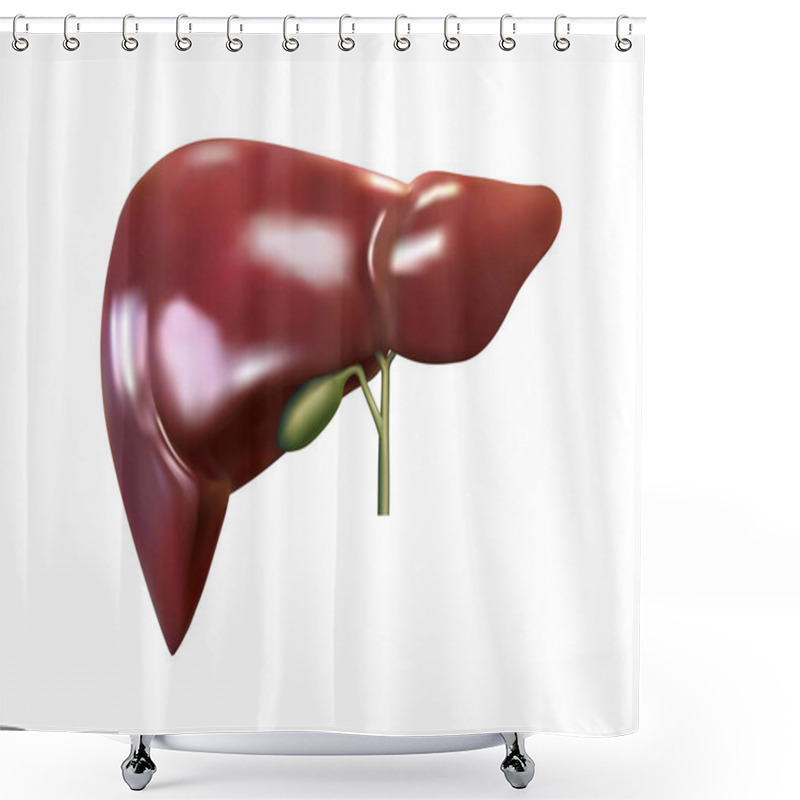 Personality  Liver And Gallbladder On A White Background Shower Curtains