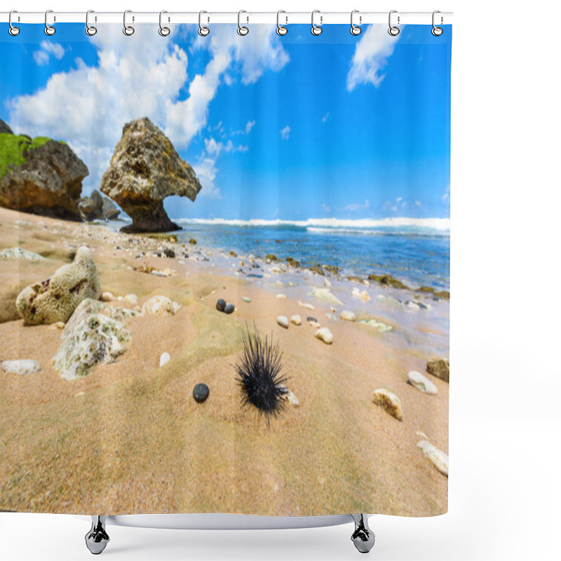 Personality  Closeup Of Seashore With Pebbles, Stones And Echinus On Beach Of Bathsheba, East Coast Of Barbados Island, Caribbean. Shower Curtains