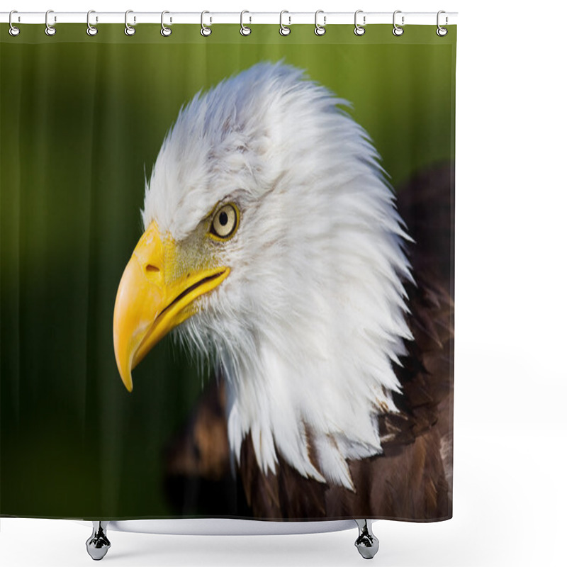 Personality  Eagle Shower Curtains