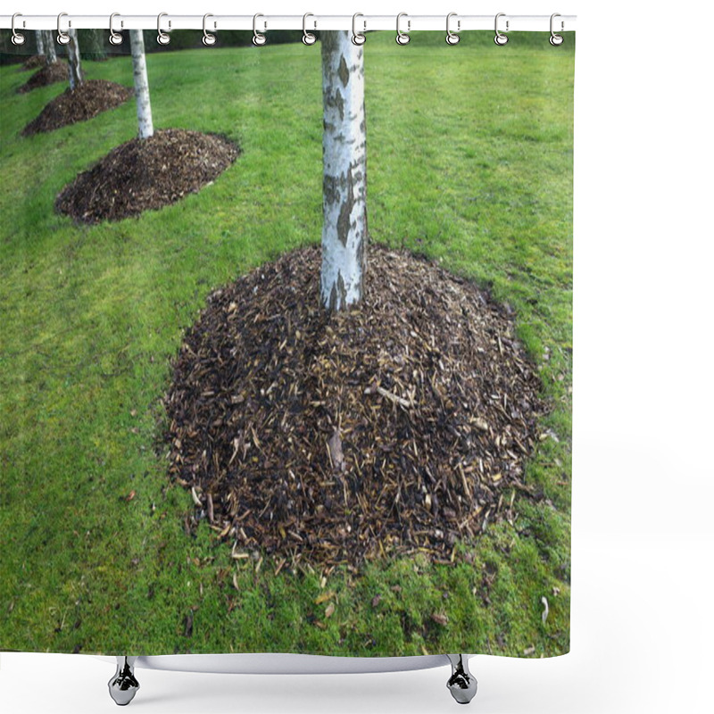 Personality  Birch Trees In A Park With Mounds Of Mulch Around The Base. Usually Made From Shredded Bark, The Mulch Provides Protection From Weeds And Keeps Roots Cool In Hot Weather. Shower Curtains