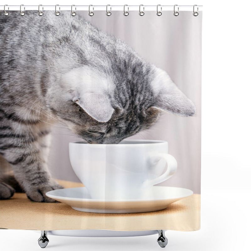 Personality  White Tea Mug Cat Shower Curtains