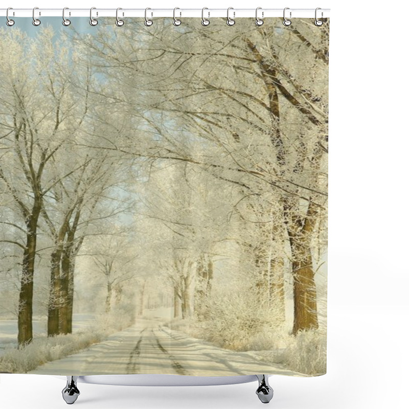 Personality  Scenic Winter Lane Shower Curtains