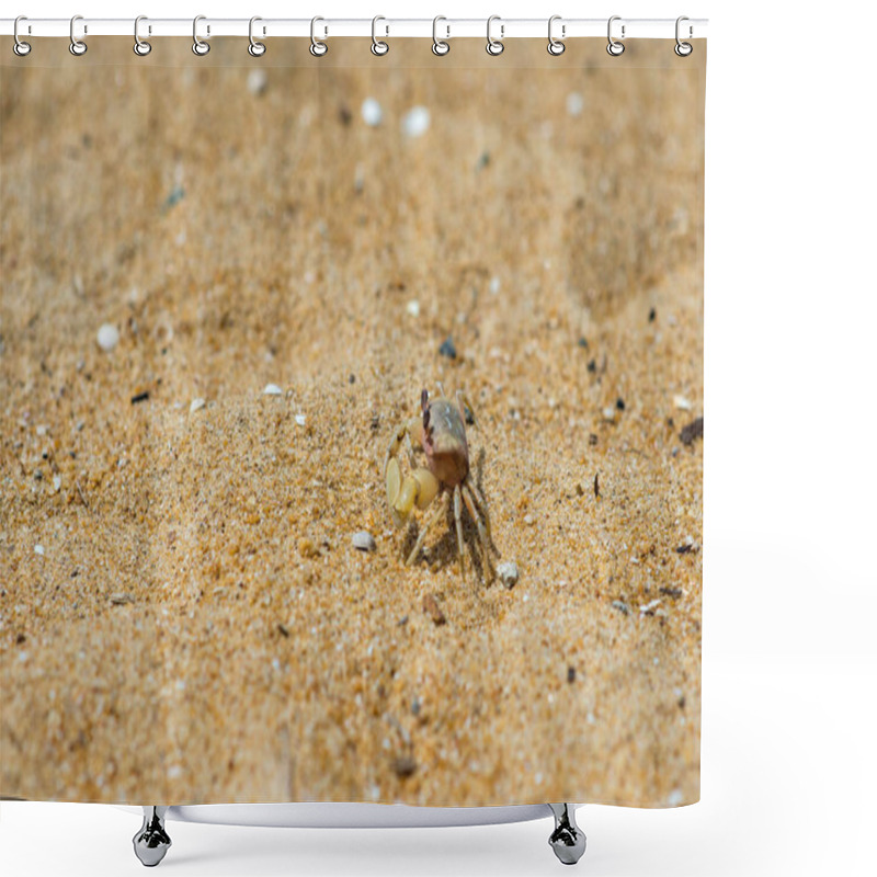 Personality  Crab Shower Curtains