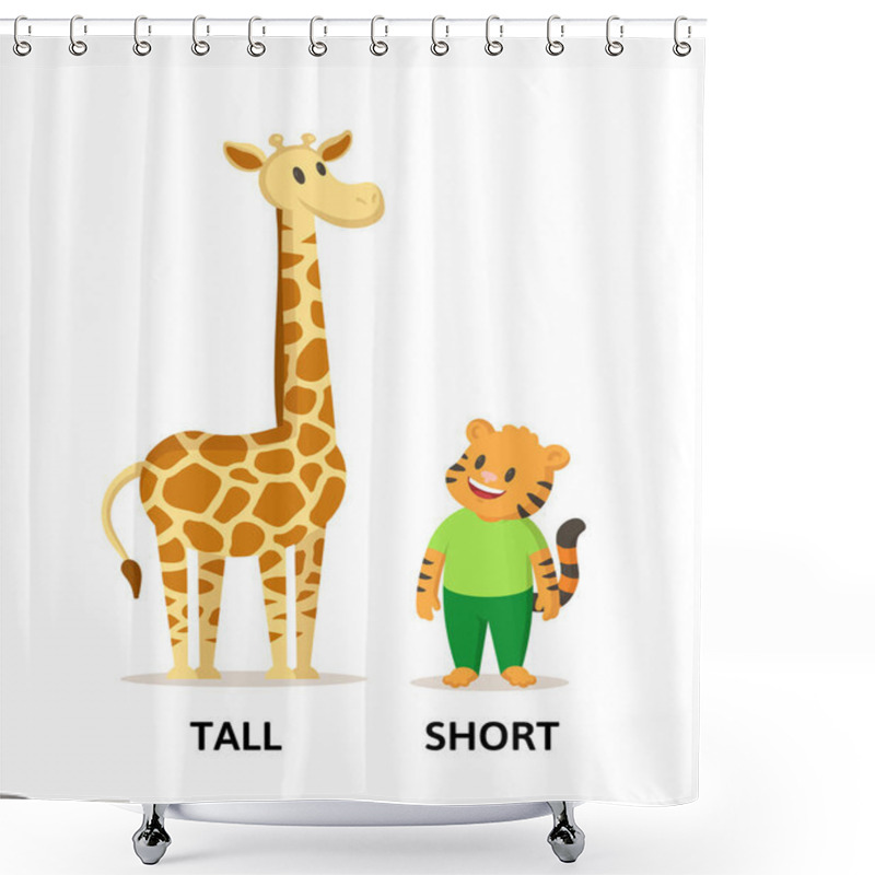 Personality  Words Tall And Short Flashcard With Cartoon Animal Characters. Opposite Adjectives Explanation Card. Flat Vector Illustration, Isolated On White Background. Shower Curtains