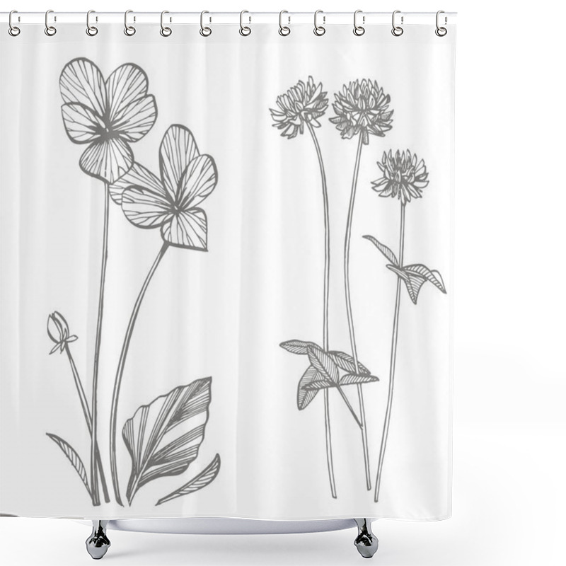 Personality  Pansy And Clover Or Daisy Flower. Botanical Illustration. Good For Cosmetics, Medicine, Treating, Aromatherapy, Nursing, Package Design, Field Bouquet. Hand Drawn Wild Hay Flowers. Shower Curtains