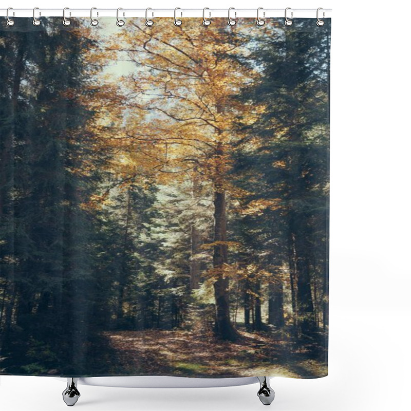 Personality  Fall Scenic Mountain Forest In Carpathians, Ukraine Shower Curtains