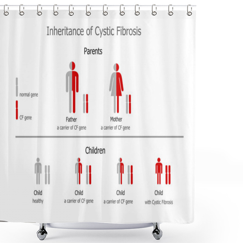 Personality  Cystic Fibrosis (mucoviscidosis) Inheritance Shower Curtains