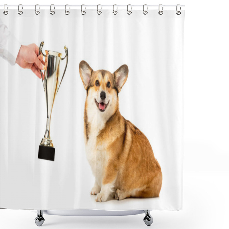 Personality  Partial View Of Man Giving Golden Trophy Cup To Adorable Welsh Corgi Pembroke Isolated On White Background  Shower Curtains