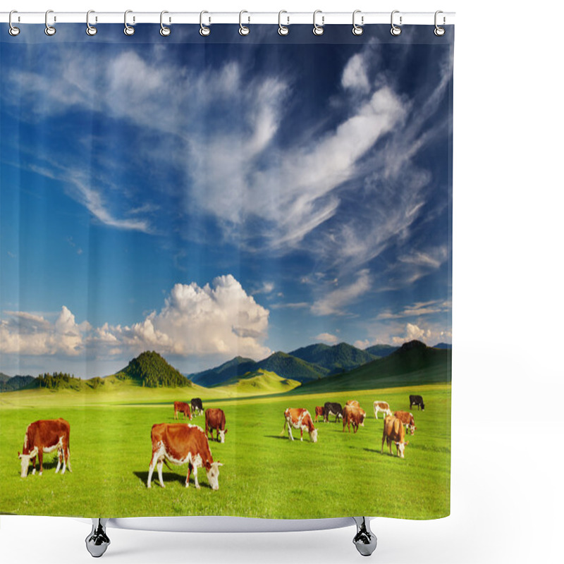 Personality  Grazing Cows Shower Curtains