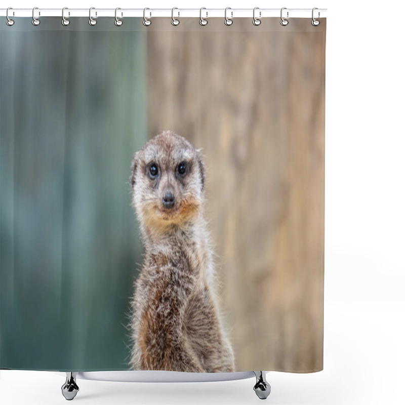 Personality  Funny Ground Squirrel On Blurred Background  Shower Curtains