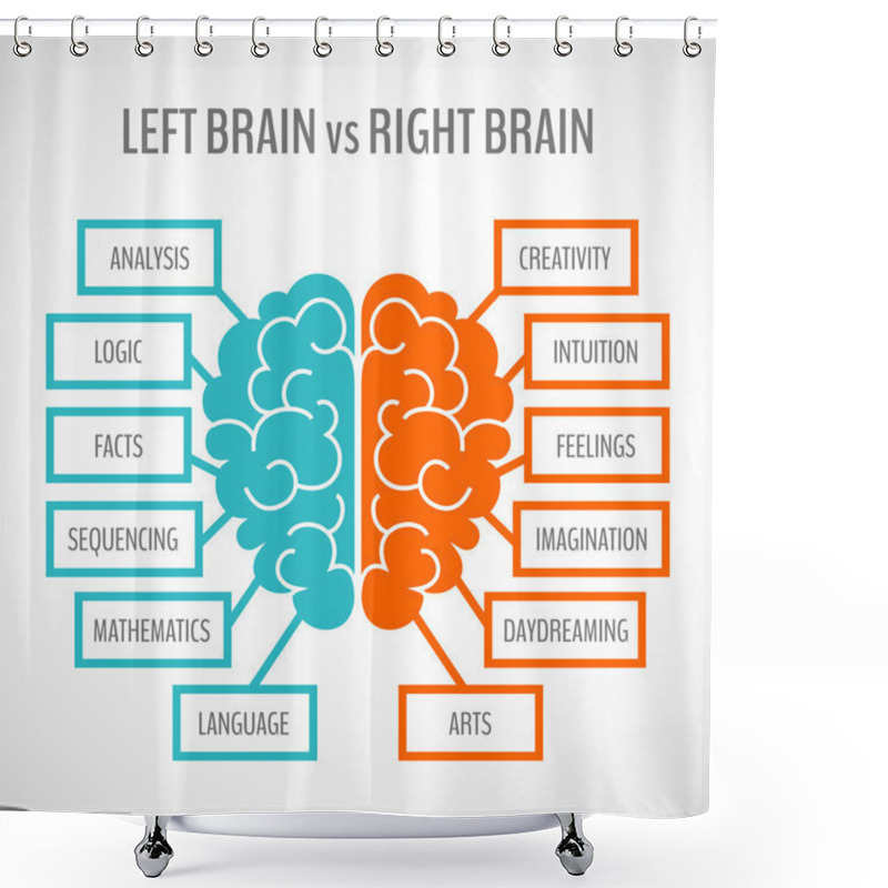 Personality  Brain Hemispheres Infographics Shower Curtains