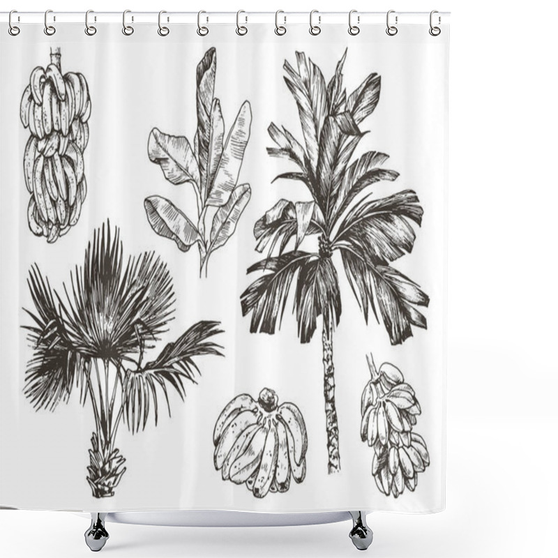 Personality  Vector Illustration Of Palm Tree And Banana Fruit Sketch For Design, Website, Background, Banner. Hand Drawing Floral On Beach. Travel And Vacation Ink Element Template. Isolated On White Shower Curtains