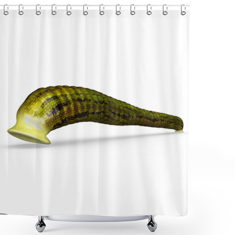 Personality  Haemadipsa Shower Curtains