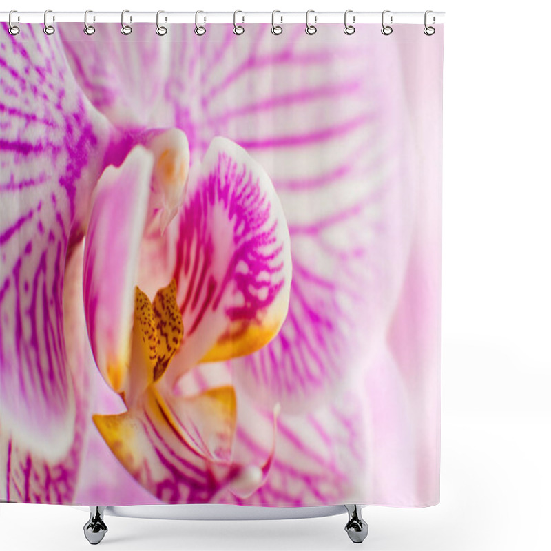 Personality  Flower Orchid Falenopsis, Very Closeup Shower Curtains