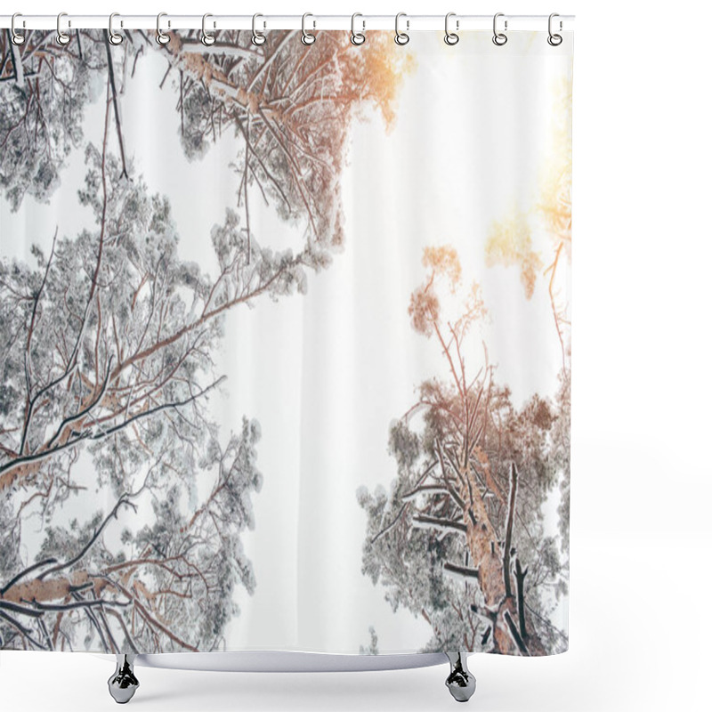 Personality  Bottom View Of Trees Covered With Snow In Beautiful Winter Woods And Sunlight Shower Curtains