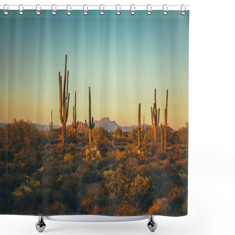 Personality  Cactuses In The Arizona Mountains Shower Curtains