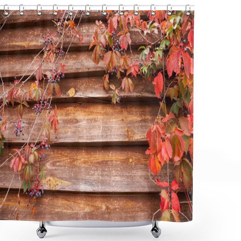 Personality  Rustic Wooden Wall With Red Autumn Leaves And Blue Berries Shower Curtains