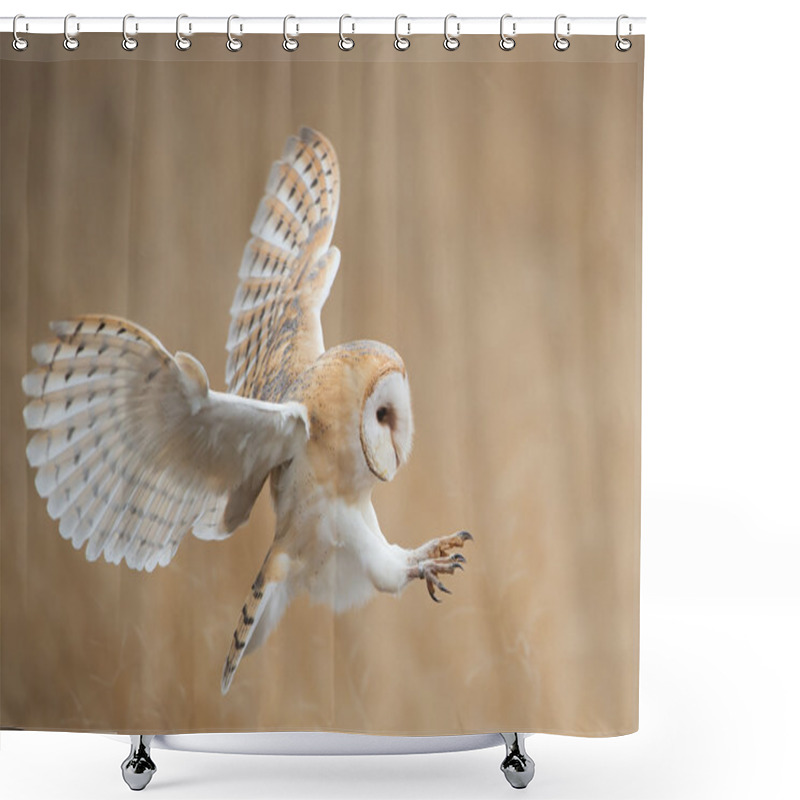 Personality  Barn Owl In Flight Shower Curtains