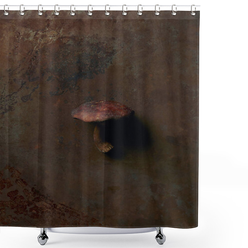 Personality  Top View Of Uncooked Suillus Mushroom On Dark Grunge Surface  Shower Curtains