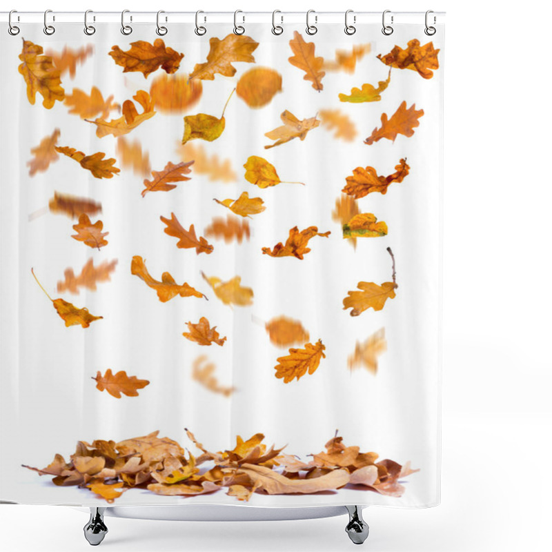 Personality  Autumn Oak Leaves Falling Shower Curtains