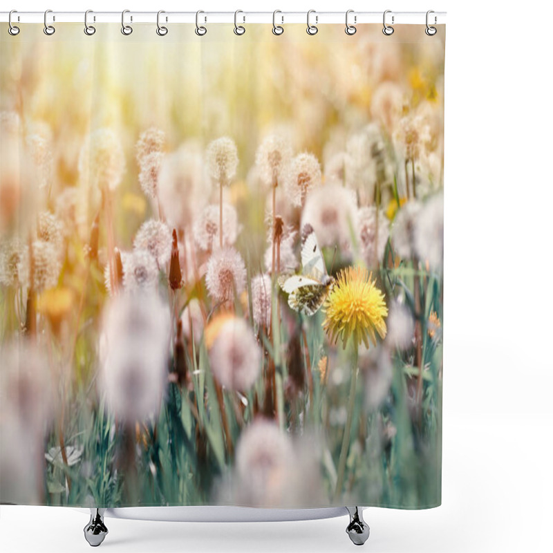 Personality  Selective Focus On Butterfly And Dandelion Flower - Beautiful Nature In Spring Shower Curtains