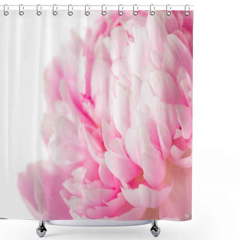 Personality  Pink Peony Flower Isolated On White Background  Shower Curtains