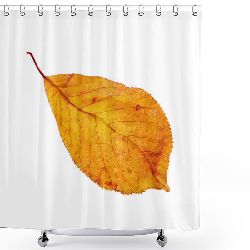 Personality  Autumn Leaf Shower Curtains