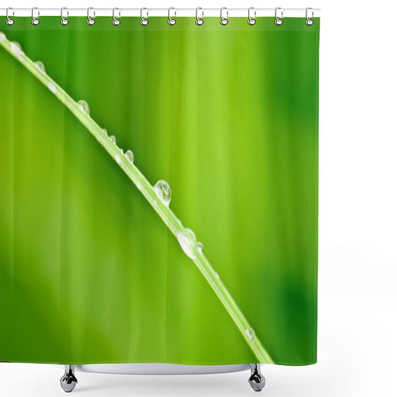 Personality  Green Grass And Drops Shower Curtains