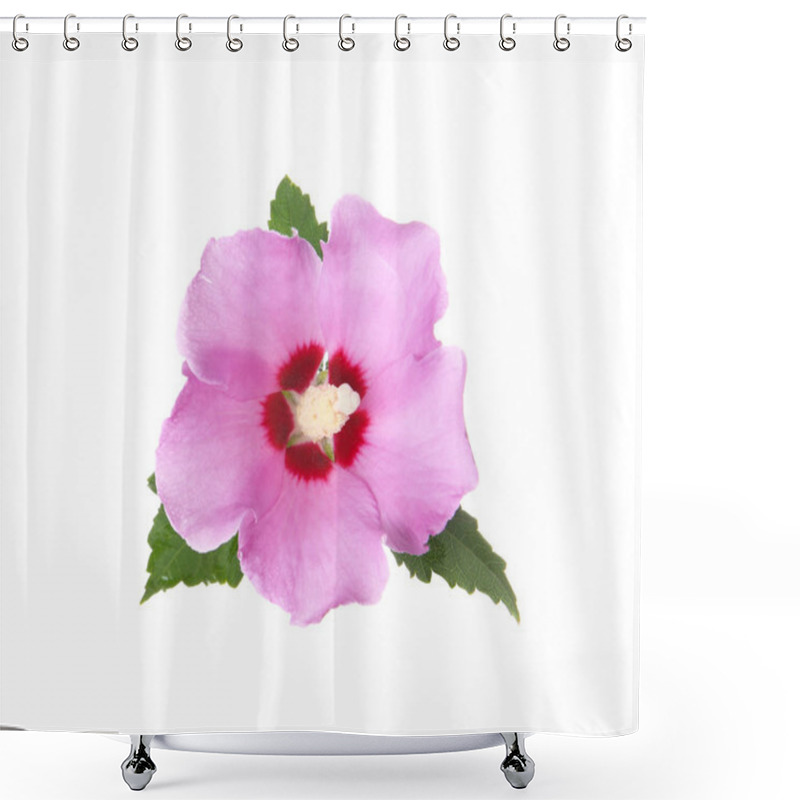 Personality  Beautiful Tropical Hibiscus Flower On White Background Shower Curtains