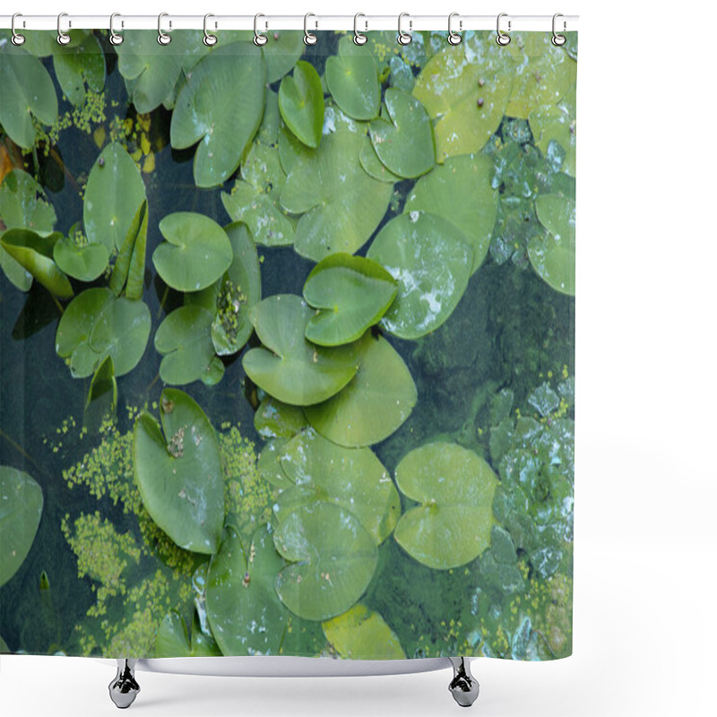 Personality  Water Lilies On River Water As A Background In Summer In Ukraine Close-up, Environment Shower Curtains