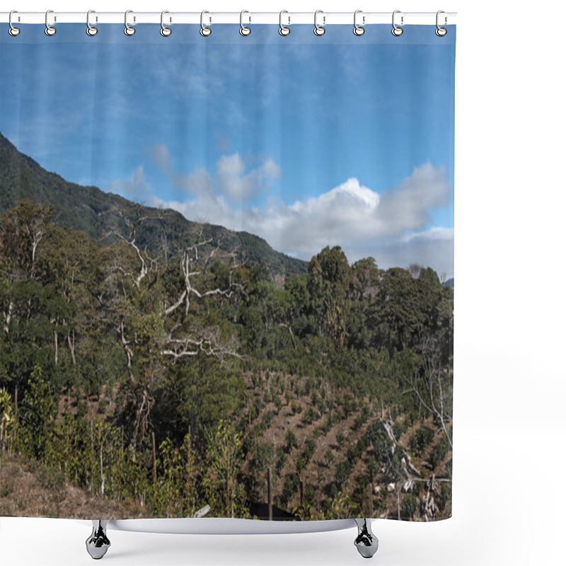 Personality  Coffee Plantation In The Highland At Boquete Panama Shower Curtains