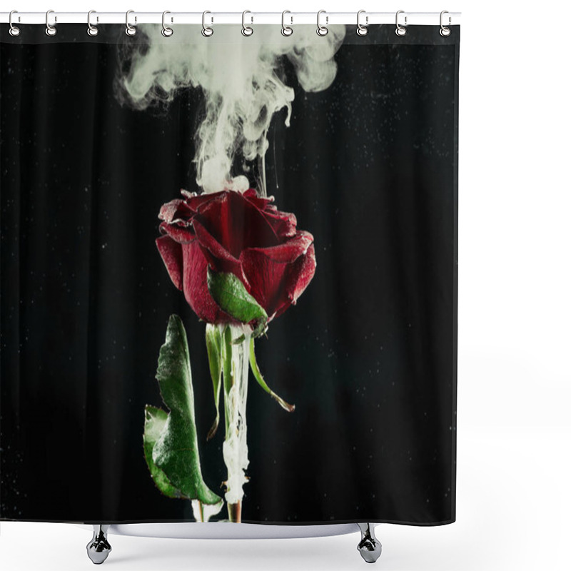 Personality  Close-up View Of Beautiful Red Rose Flower And White Flowing Ink On Black  Shower Curtains