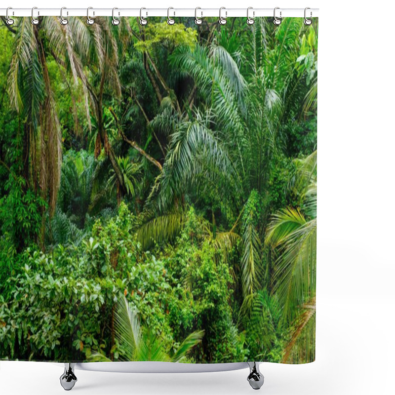 Personality  Lush Tropical Green Jungle  Shower Curtains