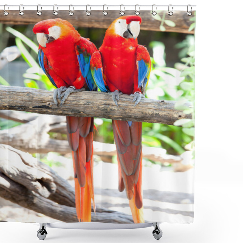 Personality  Scarlet Macaws Shower Curtains