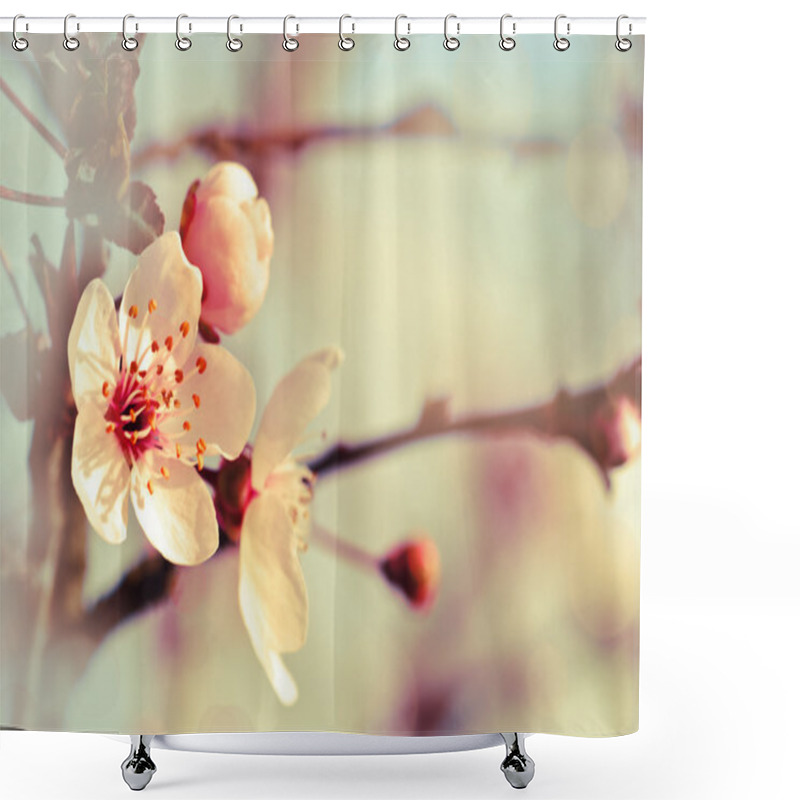 Personality  Spring Background Shower Curtains