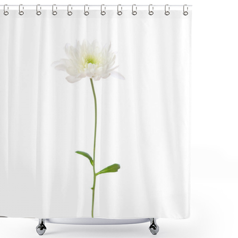 Personality  White Chrysanthemum Shower Curtains