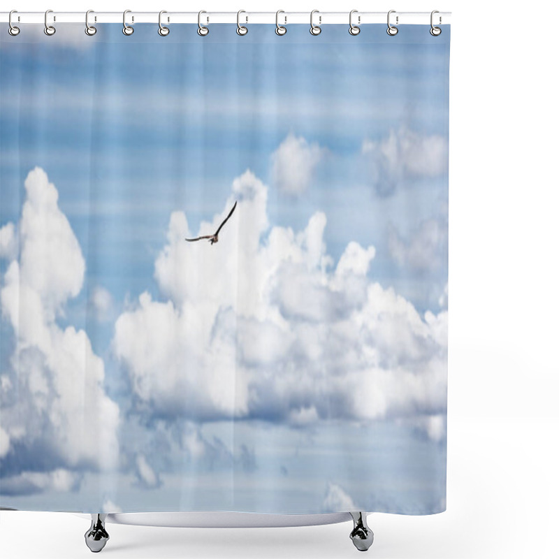 Personality  Bird In The Sky Shower Curtains