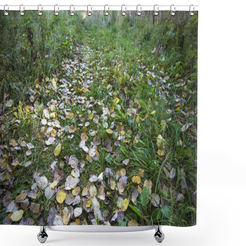 Personality  Road In The Autumn Forest Shower Curtains