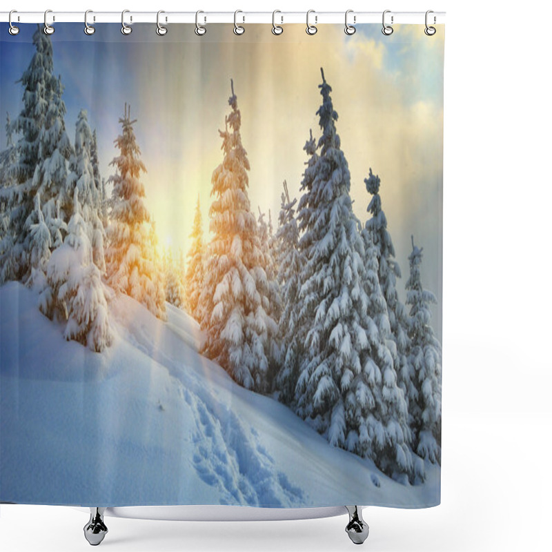 Personality  Winter Landscape Shower Curtains