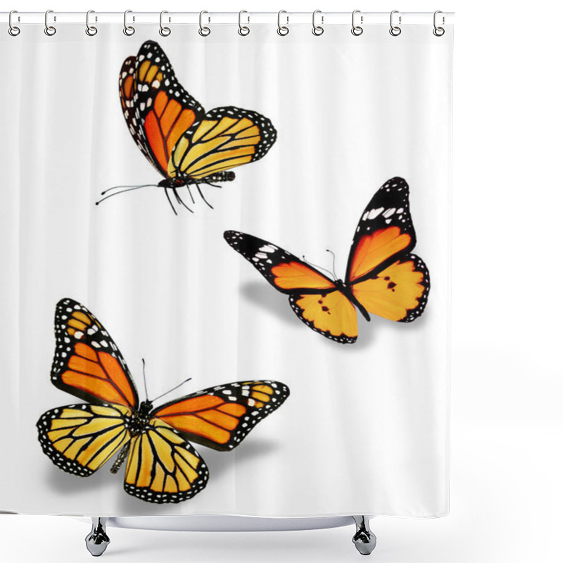 Personality  Three Orange Butterflies, Isolated On White Shower Curtains