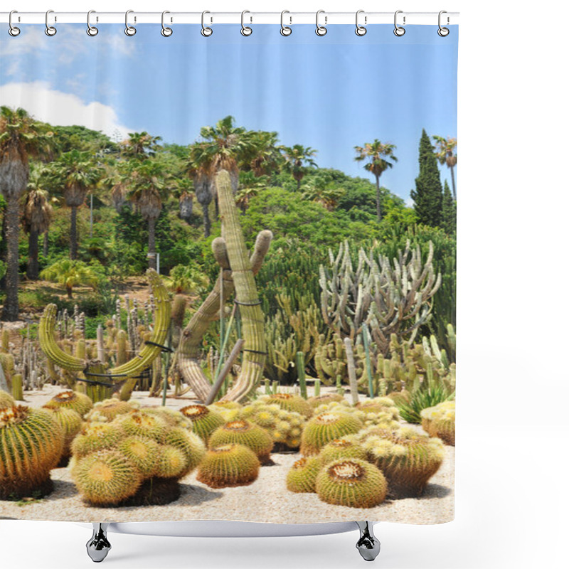 Personality  Cactus Garden Shower Curtains