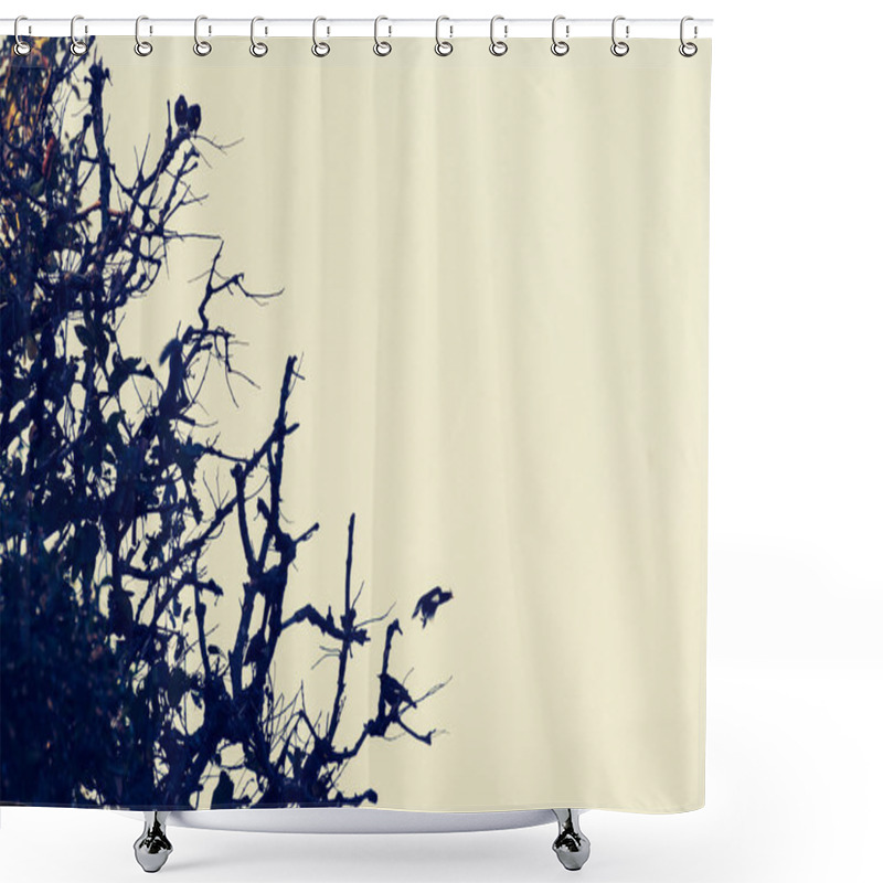 Personality  Image Of Birds  Sitting On Tree With Clear Sky. Shower Curtains