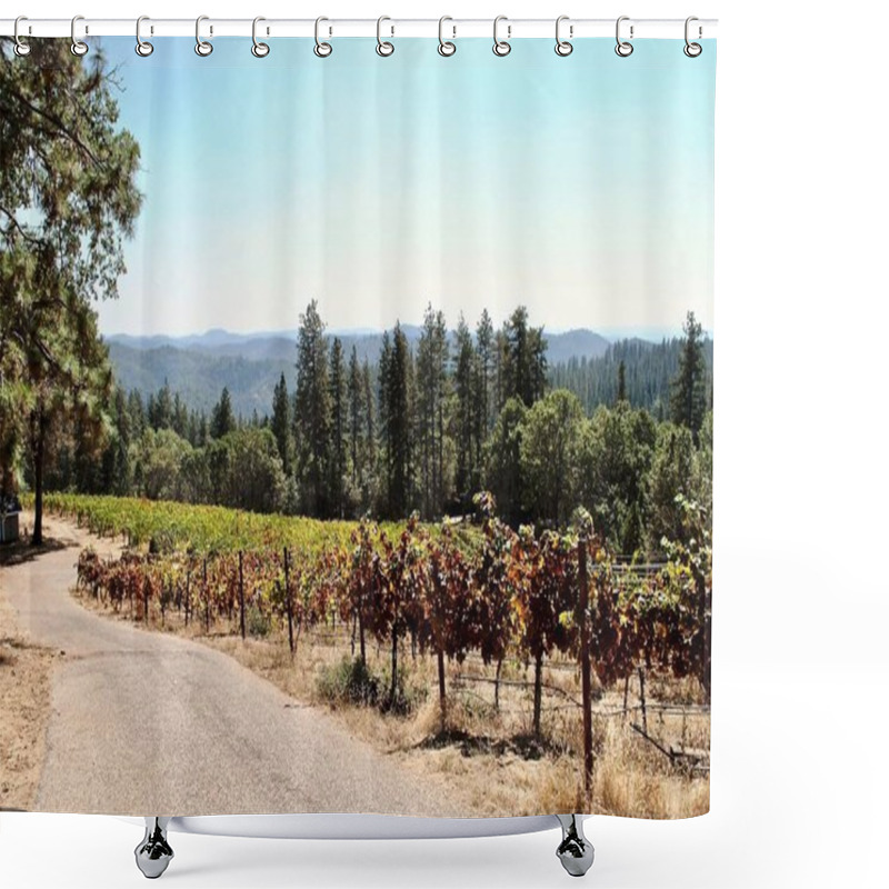 Personality  Northern California Vineyard Near Grass Valley. The Vines Grow On Steeply Terraced Terrain In The Sierra Foothills. The 'View Forever Vineyard' Is Owned And Operated By Lucchesi Vineyards And Winery. Shower Curtains