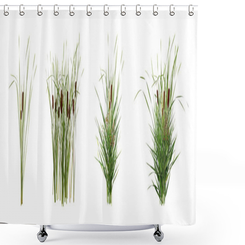 Personality  Set With Beautiful Green Reed On White Background. Banner Design Shower Curtains