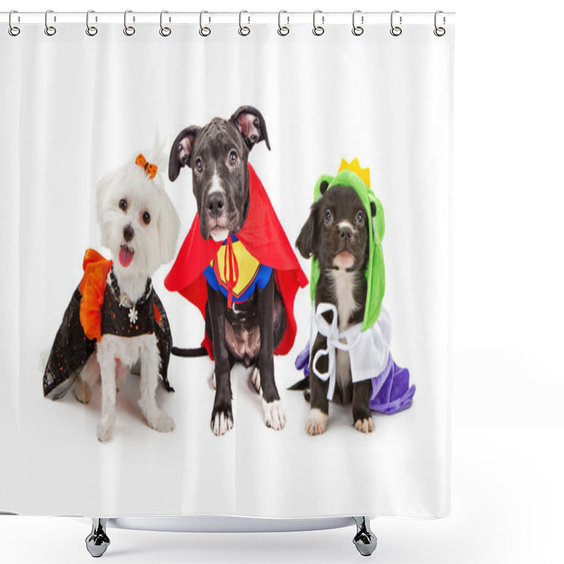 Personality  Cute Puppy Dogs Wearing Halloween Costumes Shower Curtains