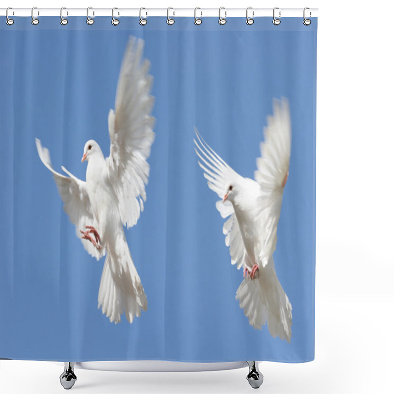 Personality  Composite Image Of A White Dove In Flight Shower Curtains