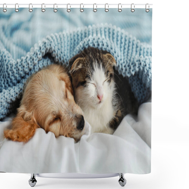 Personality  Adorable Little Kitten And Puppy Sleeping On Bed Shower Curtains